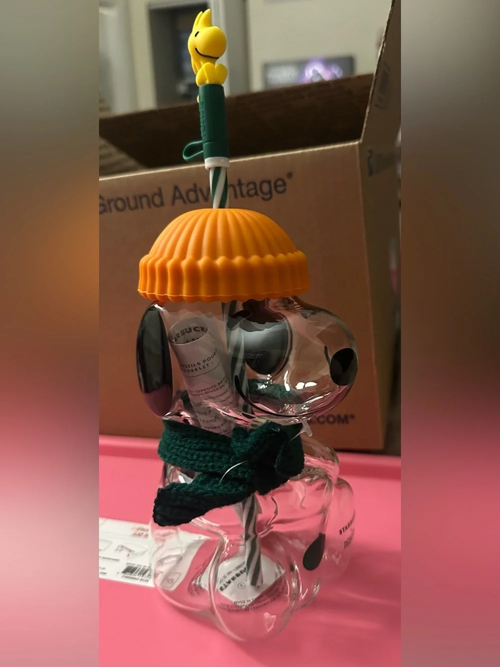Starbucks Peanuts Green & Orange Character Straw Tumblers